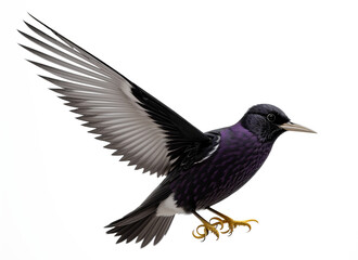 Obraz premium A Moment Frozen in Time: A Bird in Flight