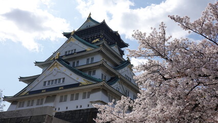 大阪城の桜