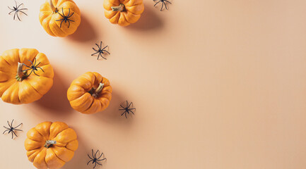 Halloween decorations made from pumpkin and black spider on pastel orange background. Flat lay, top...