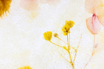 氷の中のドライフラワー