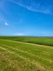 Felder an der Nordsee