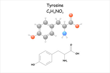 Stylized molecule model/structural formula of the amino acid tyrosine.