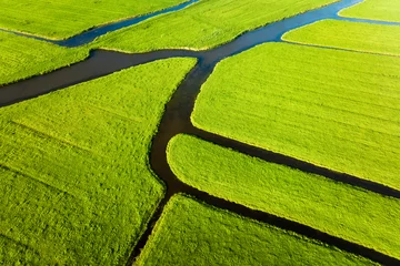 Poster Aerial view of green field. Netherlands. Canals with water for agriculture. Fields and meadows. Landscape from a drone. © biletskiyevgeniy.com