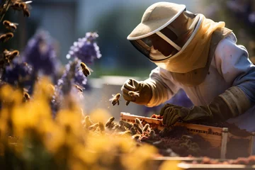 Foto auf Acrylglas Biene a professional beekeeper wearing a protective clothing and veil taking care of his bee hive in the rural setting, harvesting honey