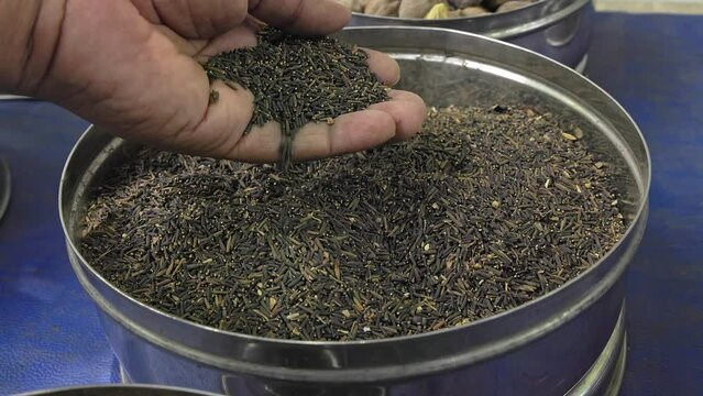 Man checking the quality of centratherum anthelminticum or bitter cumin seeds