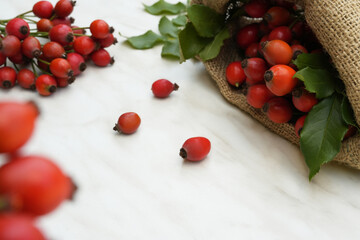 Fresh ripe rose hips in burlap bag on a white background. Healthy nutrition concept. Side view, copy space for text. 