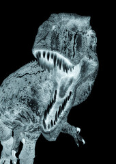 giganotosaurus in action on white background close up view © DM7