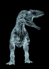 giganotosaurus is angry on white background © DM7