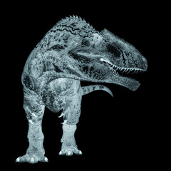giganotosaurus is looking for food on white background © DM7