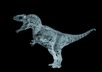 giganotosaurus is walking on white background side view © DM7