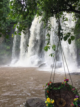 Waterfall in the Jungle