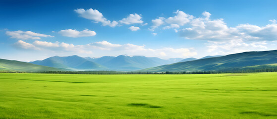 Fototapeta premium Expansive Green Grass Field: A Panoramic Natural Landscape