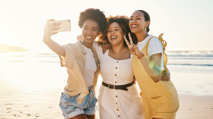 Women, selfie and peace sign with friends at beach for support, social media and diversity. Smile, relax and profile picture with group of people in nature for community, peace and summer vacation