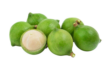 fresh macadamia nut on transparent png