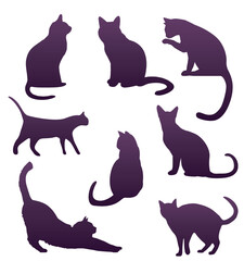 Set of silhouettes of random cats