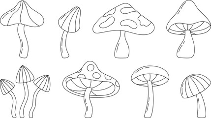 Collection of outline mushrooms isolated on white background. Hand drawn mushroom in line style. Vector illustration.