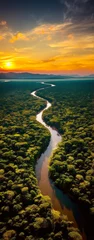 Foto op Canvas Tropical river flow through the jungle forest at sunset or sunrise. Amazon river flowing in rainforest. © mozZz