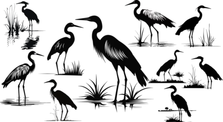 Foto op Plexiglas Set of ten heron silhouettes. © Gulafshan
