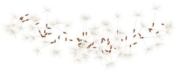 3d render falling dandelion blown by wind