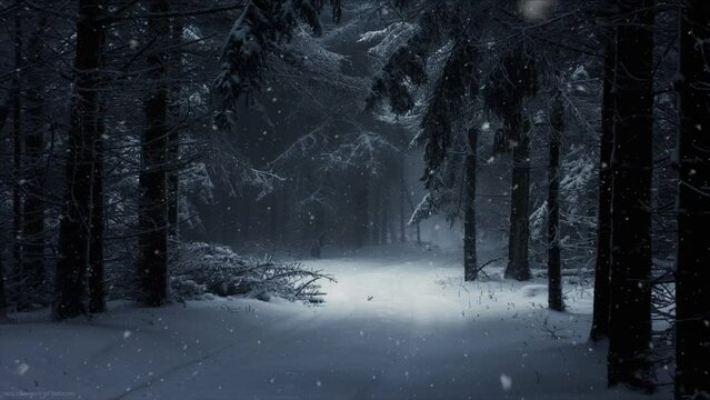 winter forest in the fog, Concept background animated artwork
