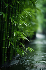 Foggy and rainy, bamboo forest. AI generative