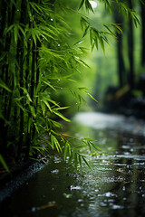 Foggy and rainy, bamboo forest. AI generative