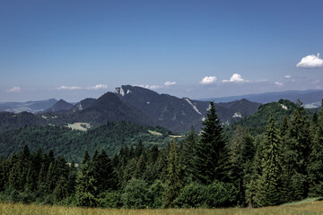 Landscape with Trzy Korony mountain viewed from Husciawa in Pieniny, Poland. Green forest in foreground.   © Kati Lenart