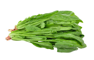 spinach on transparent png