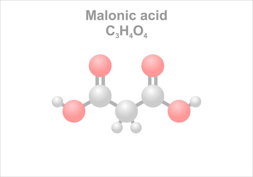 Malonic acid. Simplified scheme of the molecule. Use to control acidity in food.
