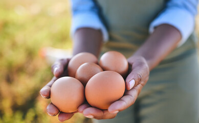 Eggs, farmer and hands in agriculture on sustainable farm or free range product for protein diet in...