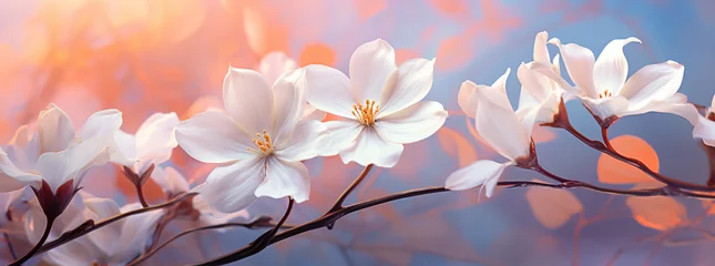 Foto op Aluminium magnolia flowers, in the style of pastel dreamscapes, light purple and light gold, bokeh panorama, light red and light indigo © alex