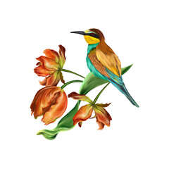 Red tulip flowers and a bee-eater. Flowers illustration isolated on white background. Greeting cards, wedding invitations, covers, postage stamps.