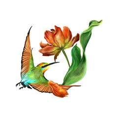 Flying bee-eater and tulip. Botanical illustration isolated on white background. Greeting cards, wedding invitations, covers, postage stamps.