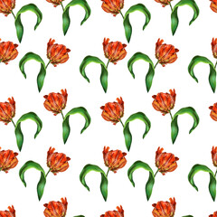 Seamless pattern of red tulip flowers isolated on white background. Design element for greeting cards, invitations, covers, textiles, wrapping paper.