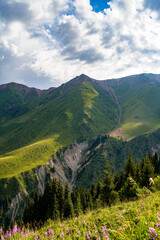 beautiful green mountain gorge. summer in the mountains