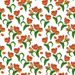 Seamless pattern of tulip bouquets and petals isolated on a white background. Greeting cards, invitations, covers, textiles, wrapping paper, clothes.