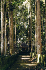 Photo of monkey forest trees way to hindu temple. Balinese traditional architecture in jungle