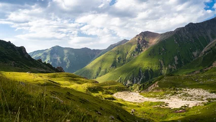 Fotobehang Alpen beautiful green mountain gorge. summer in the mountains
