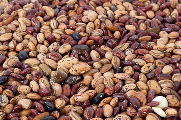 Various kidney beans spilled on table. Selective focus. Assortment of uncooked speckled legumes in red, black, white color. Gut health food, plant-based protein source.