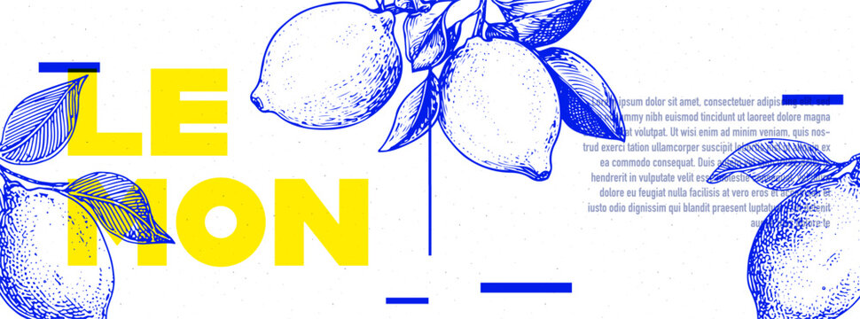 Yellow and blue poster or banner design with lemon in etching style with space for text. Vector illustration.