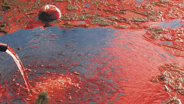 dirty rusty water with nechita and waste pours from a pipe into a river or lake. Fresh water pollution, environmental problems, climate change, natural disasters