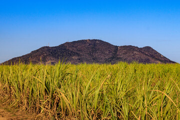 Morro do Itaoca, Campos dos Goytacazes
