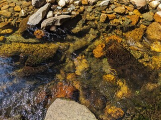 Massachusetts Landscapes 