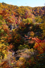 autumn in the mountains