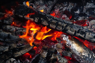 fire burning in a fireplace
