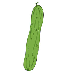 Cucumber 