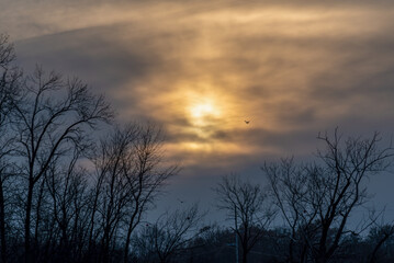 Fototapeta na wymiar A Beautiful Sunset In A Late November Sky In Wisconsin
