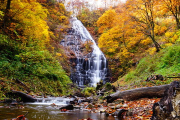 waterfall in autumn