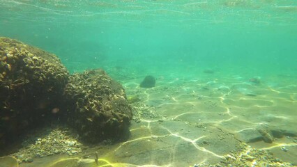 swim in a tide pool with oyster on the rock and dead coral fraction in pieces and stone on the bottom with shining from sunlight hue ray reflection light during day in Xiyupingyu Penghu Taiwan Asia