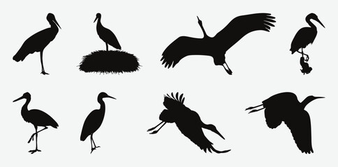 Captivating Silhouettes of Majestic Stork Birds in Various Poses, A Vector Collection of Graceful Avian Forms
